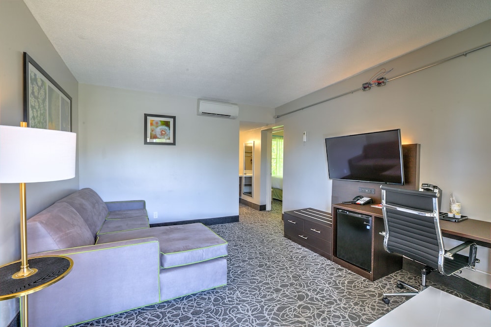 Suite, 1 King Bed, Non Smoking - Photo 4