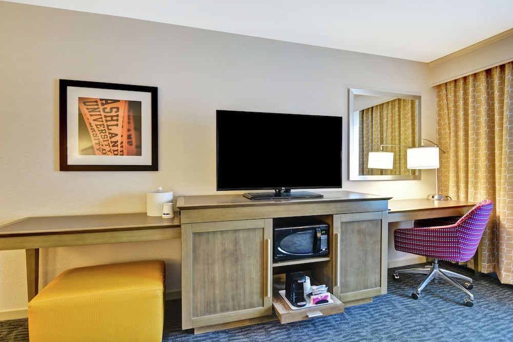 Room, 1 King Bed, Accessible, Non Smoking (Mobility & Hearing, Roll-in Shower) photo 3