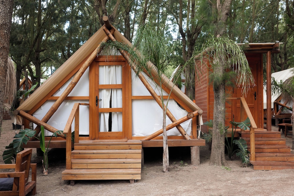 Basic Tent