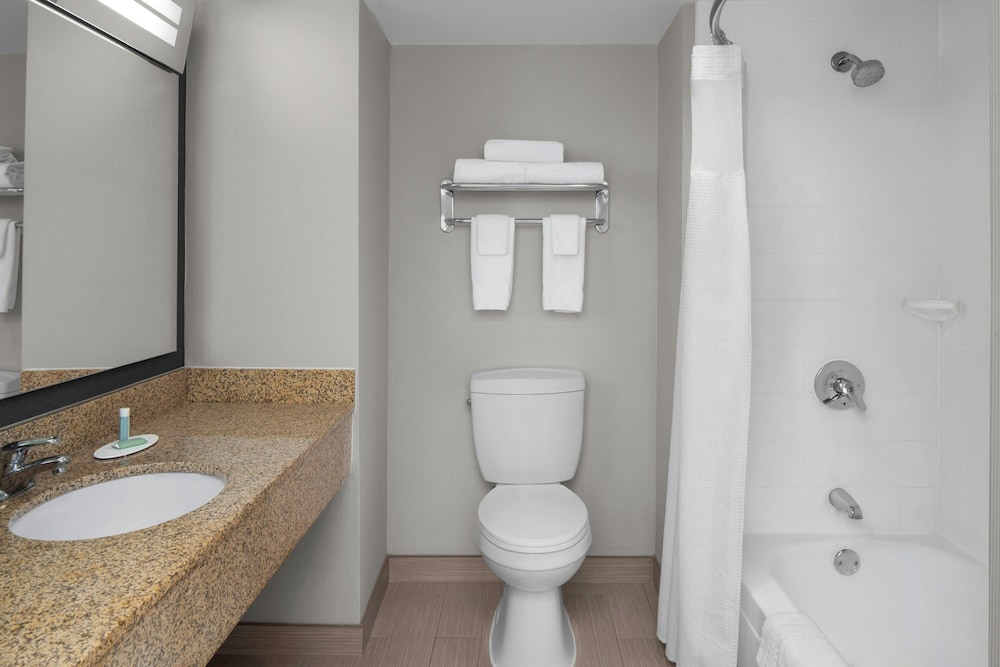 Room, 1 King Bed with Sofa bed (Mobility/Hearing Access, Roll-in Shwr) photo 3