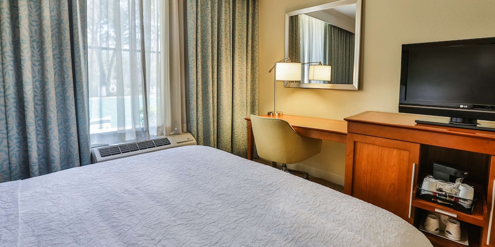 Suite, 1 King Bed, Accessible, Non Smoking - Photo 4