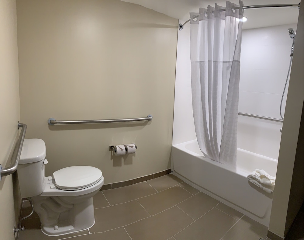 Studio Suite, 1 King Bed with Sofa bed, Accessible, Non Smoking - Photo 7