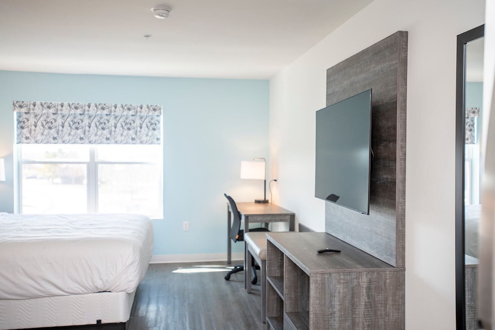 Basic Studio Suite, 1 King Bed photo 2