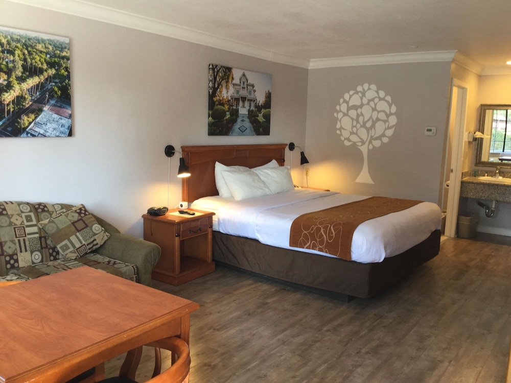 Premium Room, 1 King Bed, Smoking photo 1