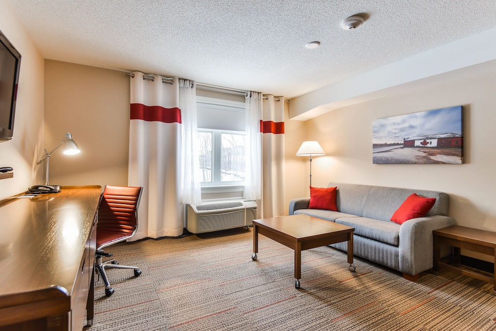 Suite, 1 Bedroom photo 3