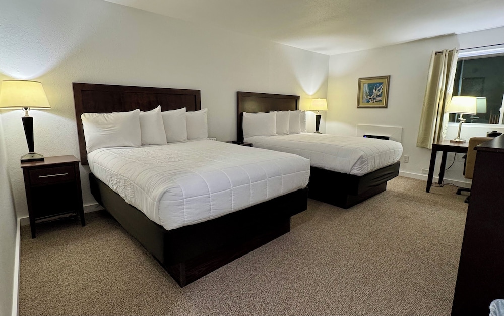 Deluxe Double Room photo 1