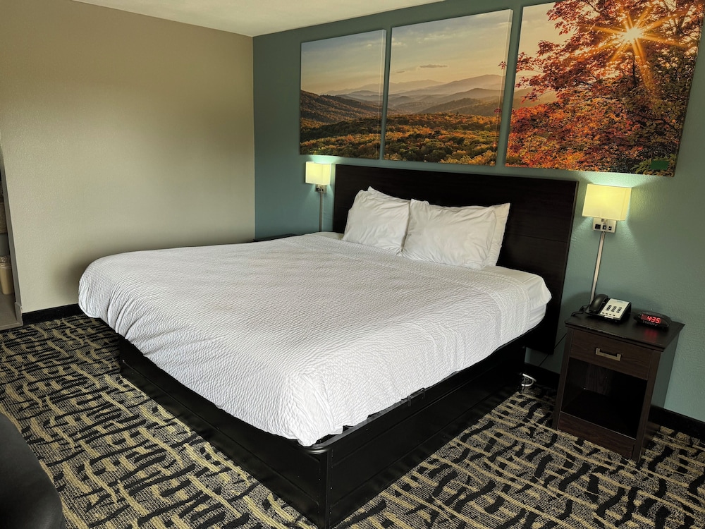 Basic Single Room photo 1