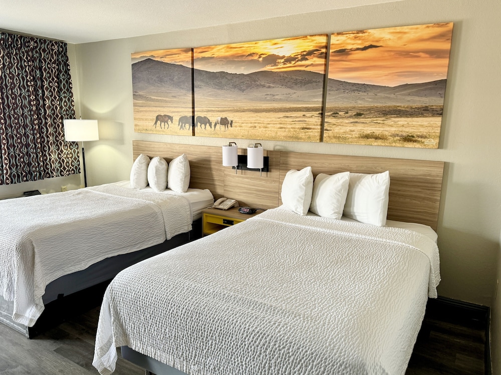 Basic Double Room, 2 Double Beds - Photo 8