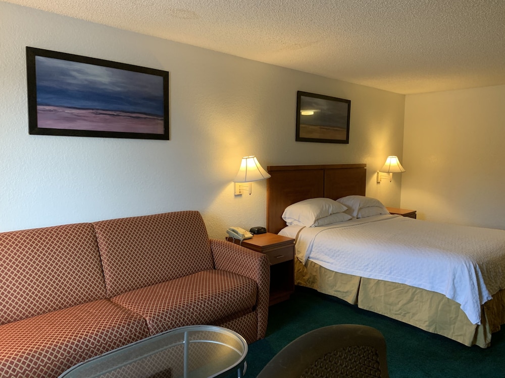 Studio Suite, 1 King Bed, Non Smoking photo 2