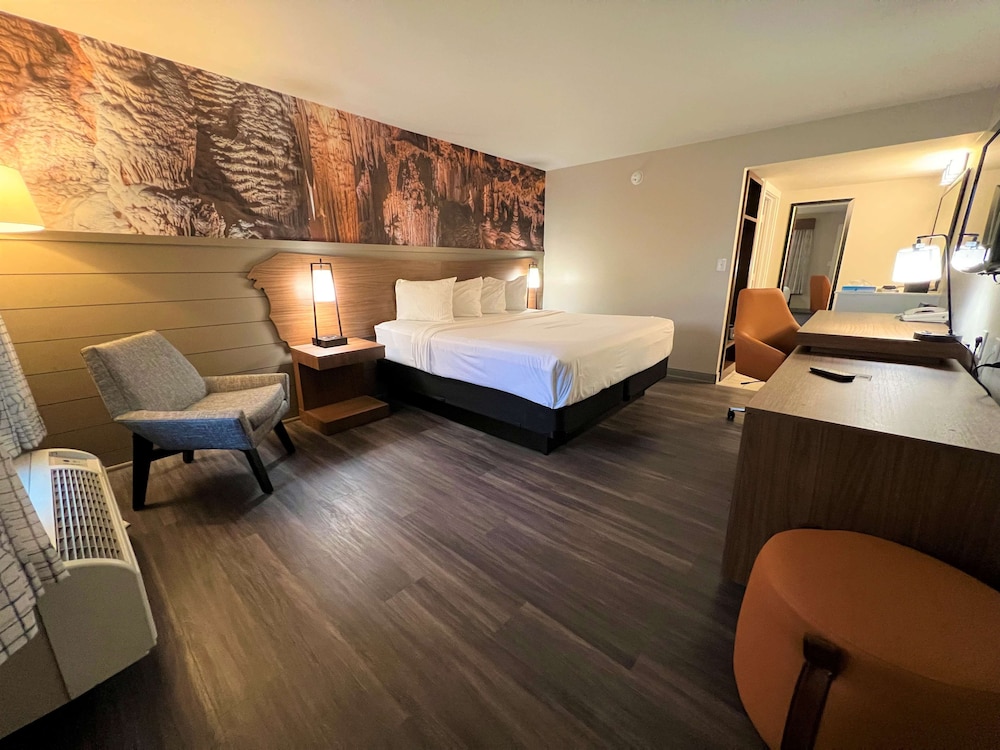 Standard Room, 1 King Bed, Non Smoking (Walk-in Shower;Theme Room)