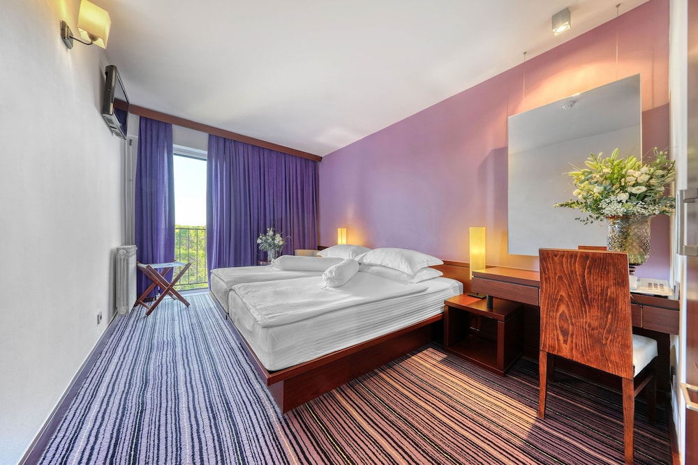 Comfort Double Room, 1 Double Bed photo 3