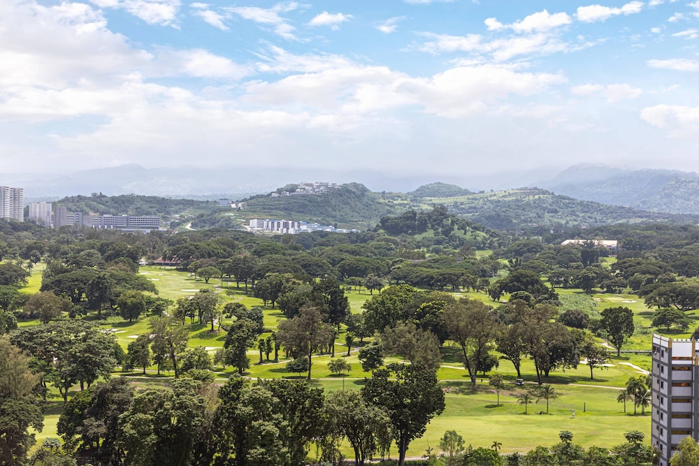 Executive Suite, 1 King Bed, Golf View - Photo 7
