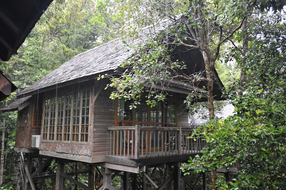 Tree House photo 2