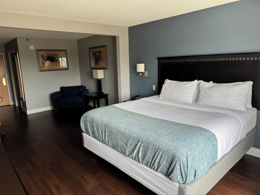 Deluxe Suite, 1 Bedroom, Non Smoking - Photo 5
