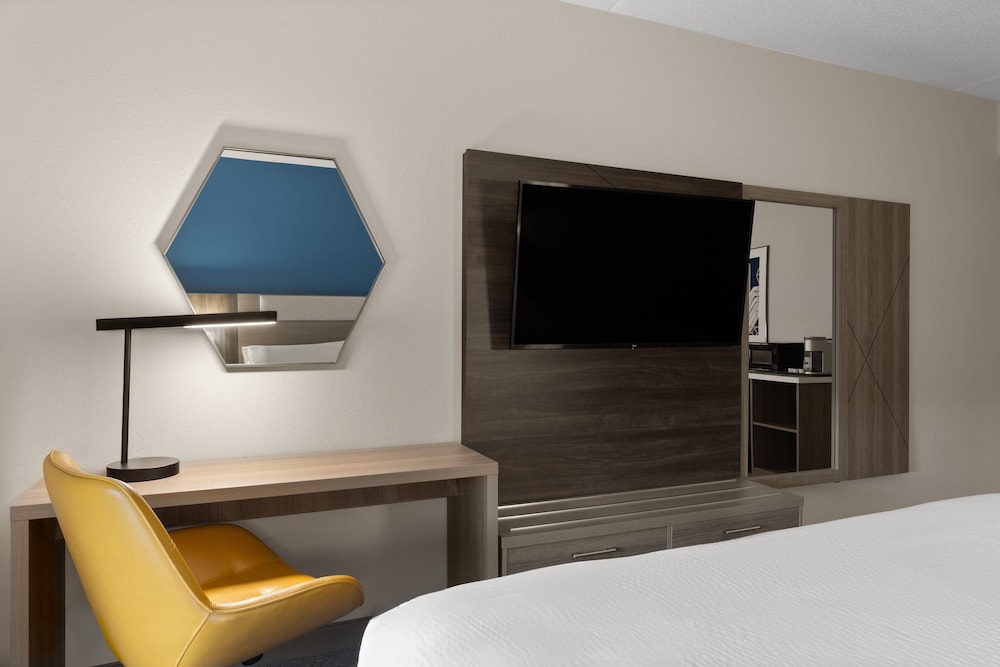 Standard Room, 1 King Bed, Accessible (Mobility, Accessible Tub) - Photo 6