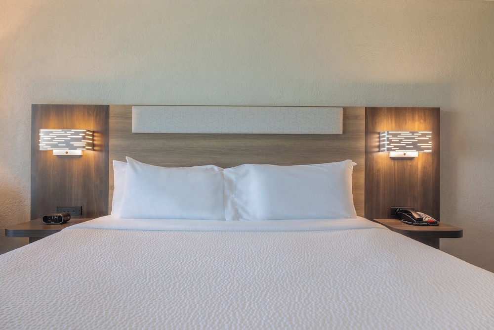 Standard Room, 1 King Bed, Accessible (Communications, Accessible Tub) - Photo 3