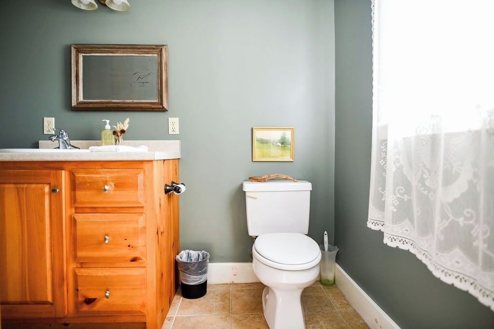 Lichen Room photo 2