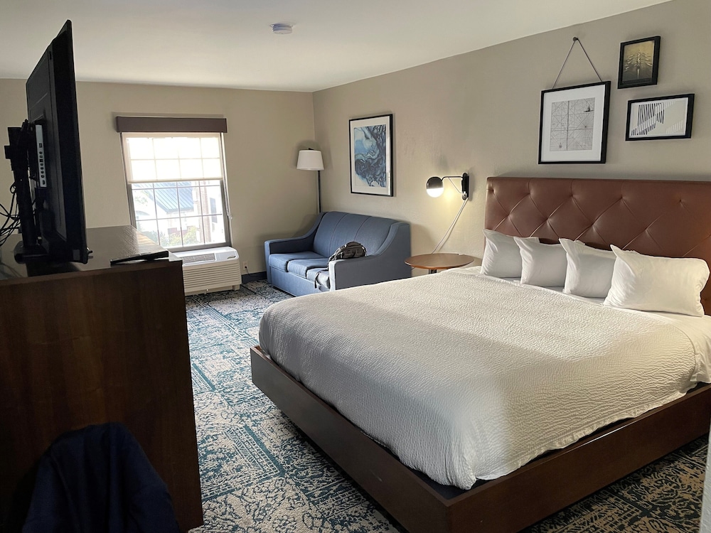 Deluxe Room, 1 King Bed with Sofa bed - Photo 3