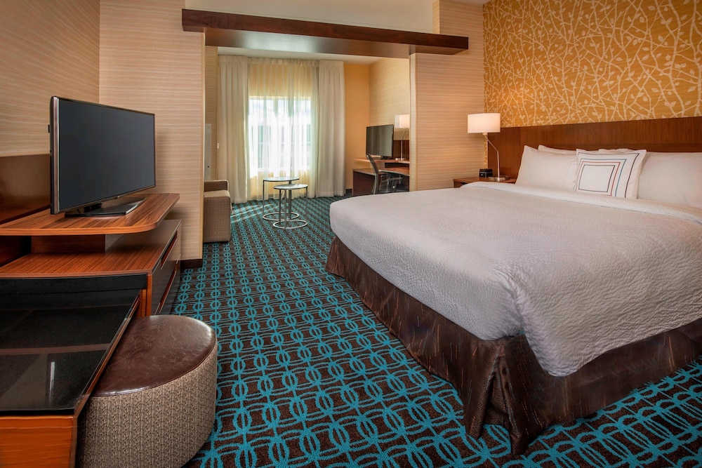 Suite, 1 King Bed with Sofa bed