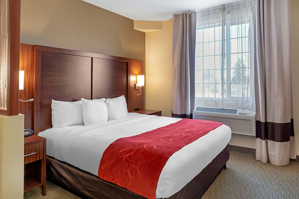 Suite, 1 King Bed with Sofa bed, Non Smoking - Photo 1