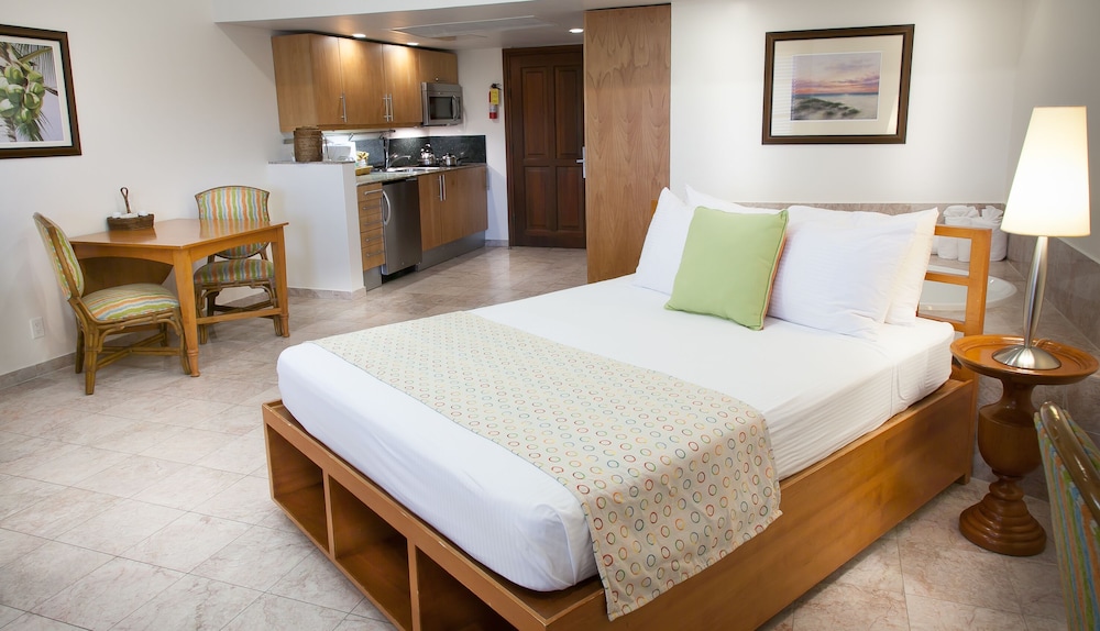 Studio Suite, 1 Queen Bed photo 1