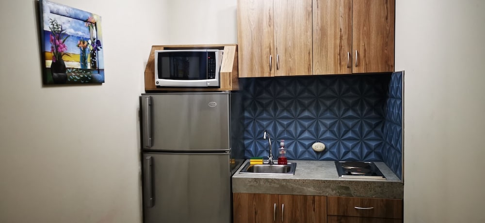 Apartment, 1 Bedroom photo 2