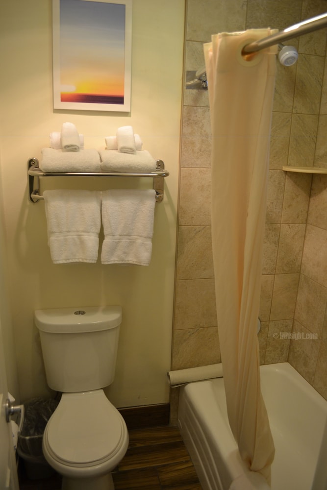 Studio Suite, Multiple Beds, Non Smoking photo 3