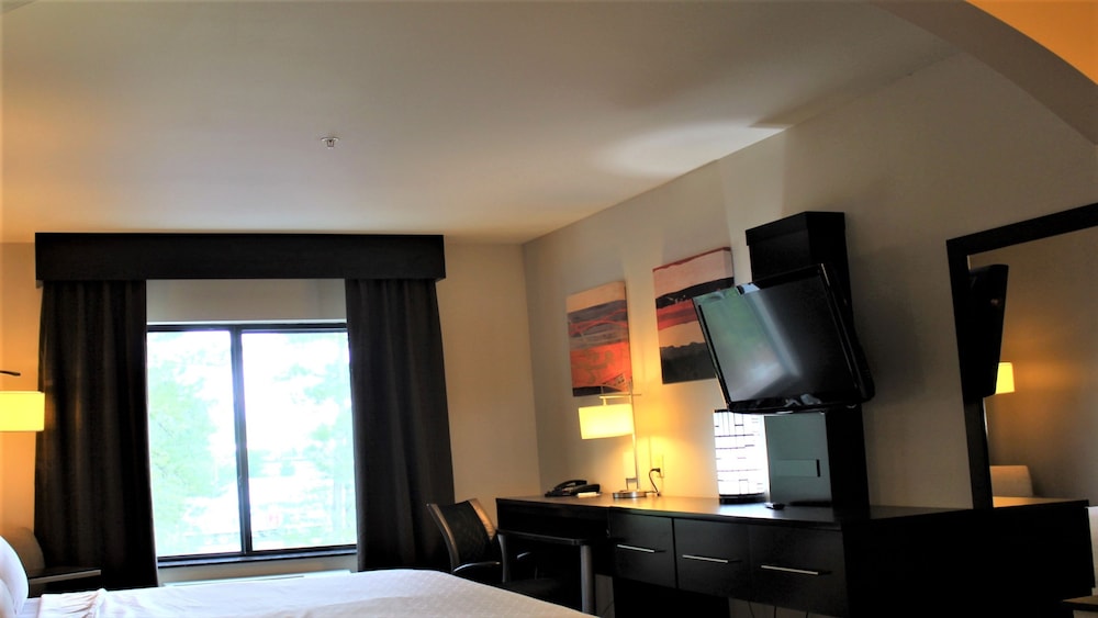 Suite, 1 King Bed (Additional Living Area) - Photo 9