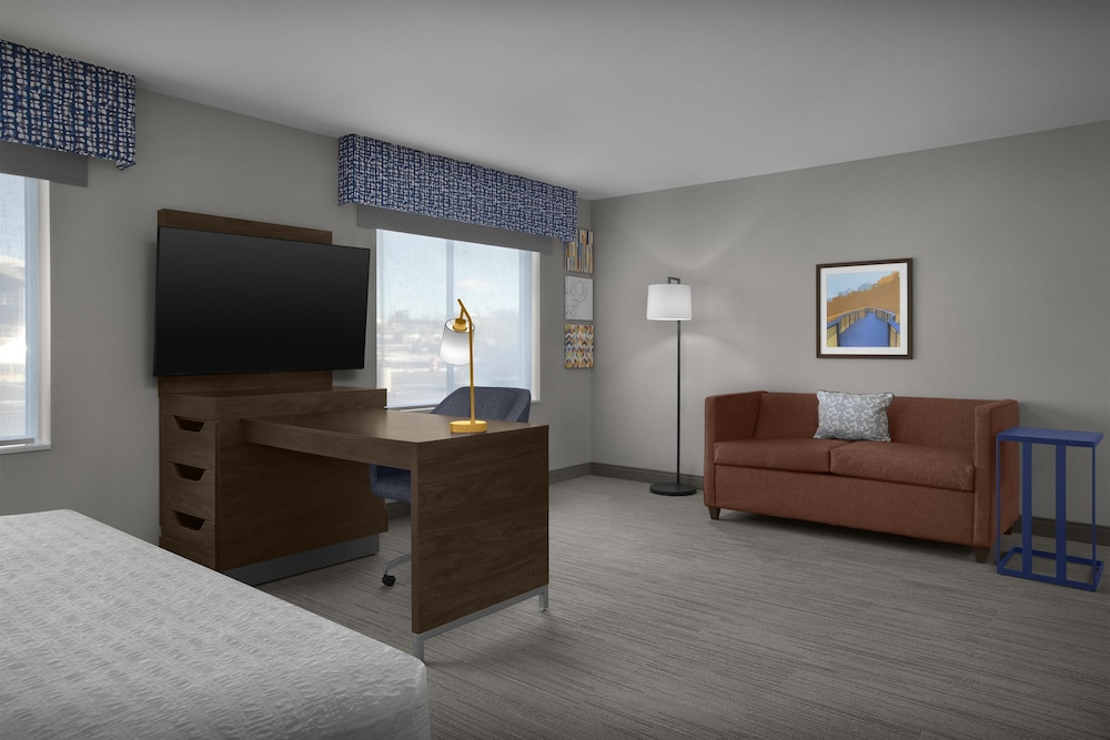 Studio, 1 King Bed, Accessible (Mobility & Hearing, Roll-in Shower)
