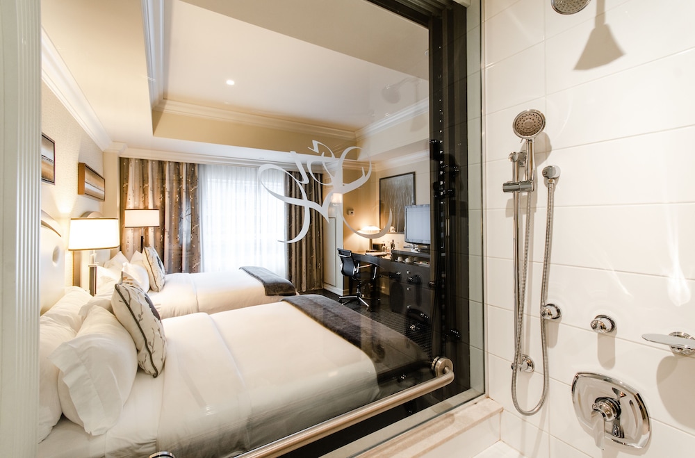Classique two queen beds - Photo 6