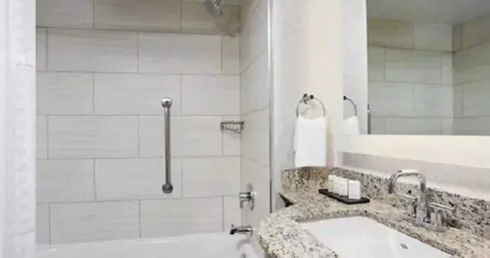 Suite, 1 King Bed, Accessible (Roll-in Shower) thumbnail 5