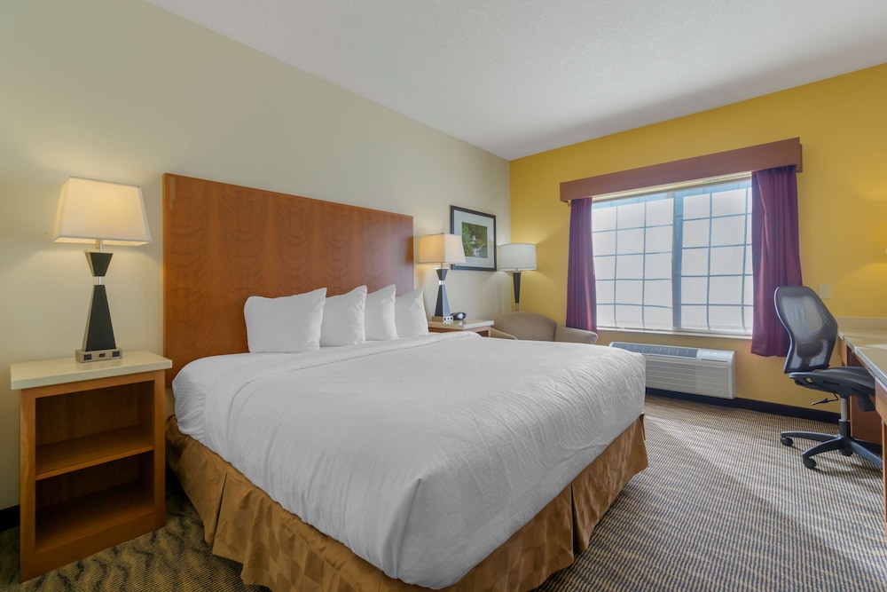 Standard Room, 1 King Bed, Accessible, Non Smoking photo 1