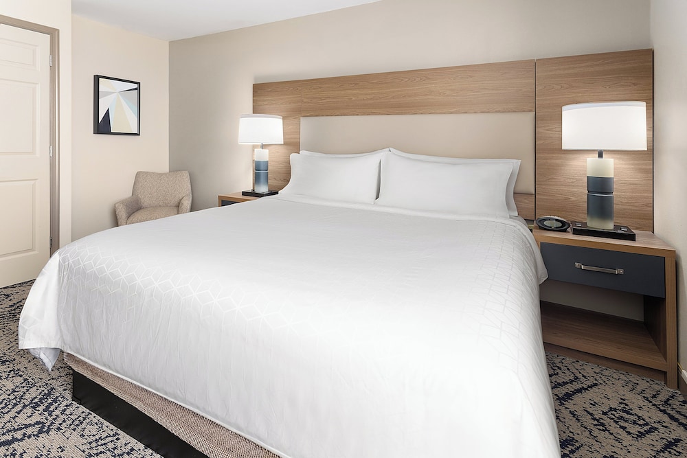 Suite, 1 Bedroom - Photo 4