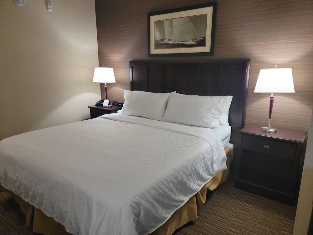 Suite, 1 Bedroom photo 3