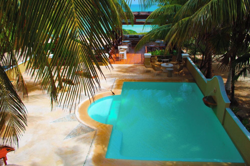 Luxury House photo 2