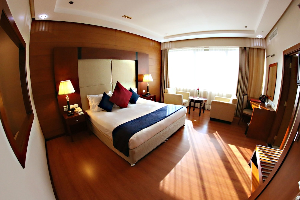 Deluxe Suite, 1 King Bed photo 2