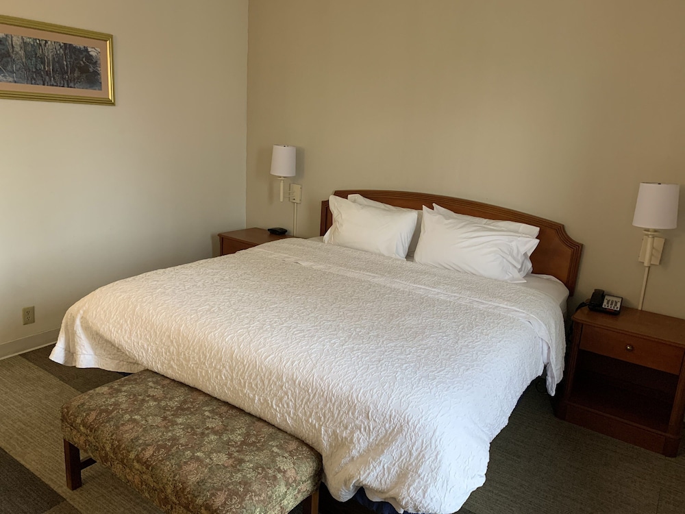 Comfort Inn & Suites Mt. Holly - Westampton, Photo 5