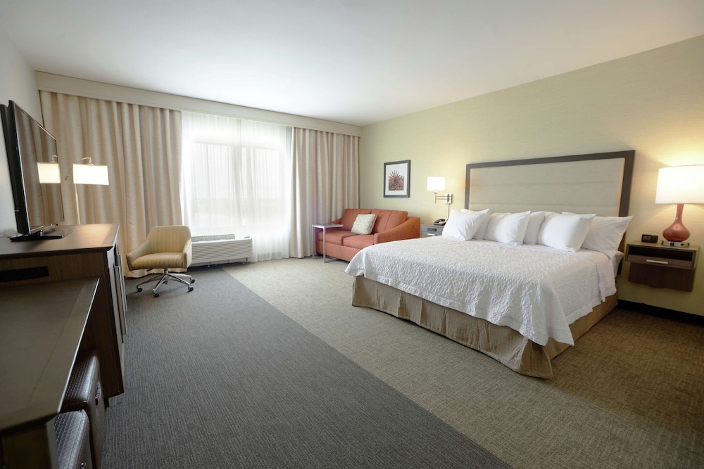 Room, 1 King Bed with Sofa bed, Accessible, Non Smoking photo 1