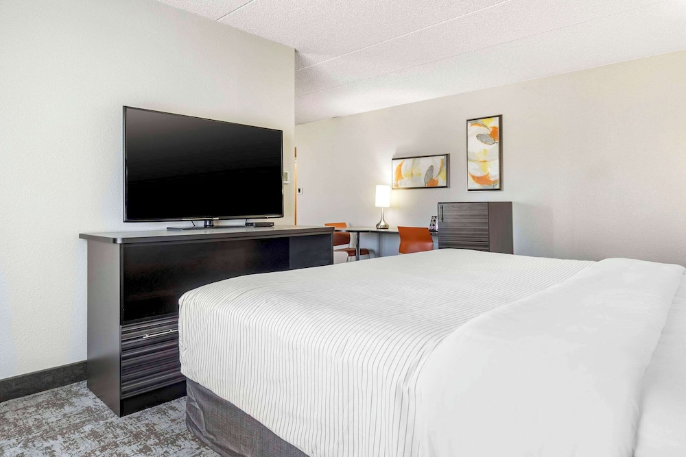 Suite, 1 King Bed, Non Smoking - Photo 12