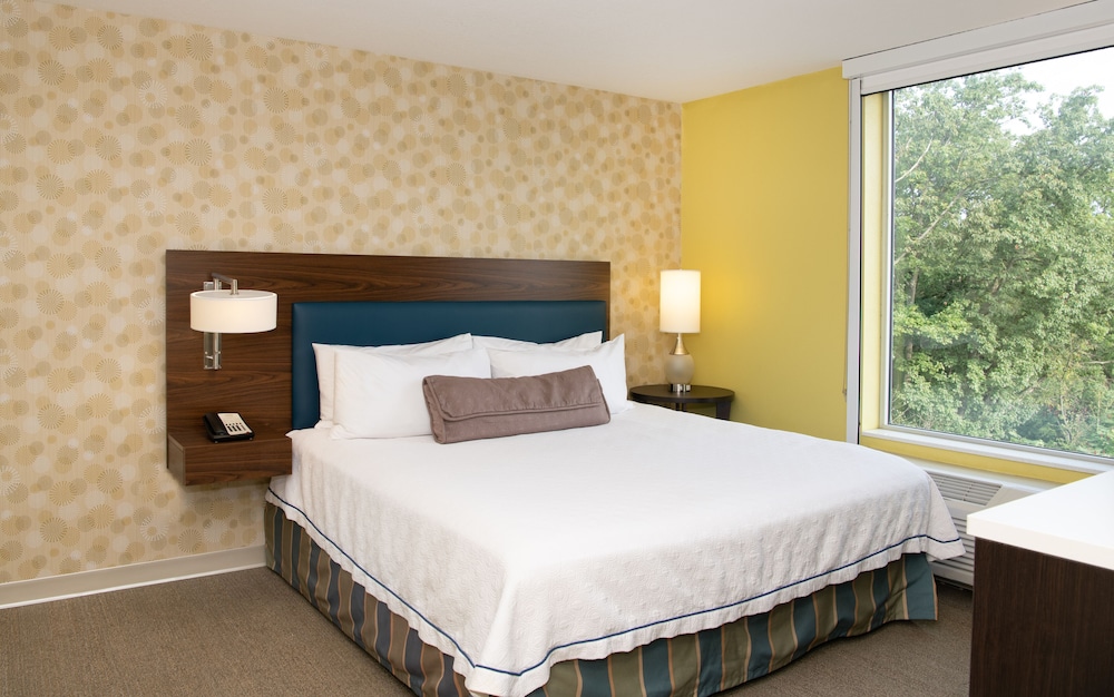 Studio, One King Bed, Accessible photo 3