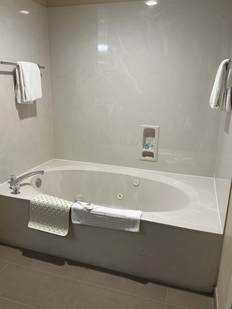 Studio Suite, Non Smoking