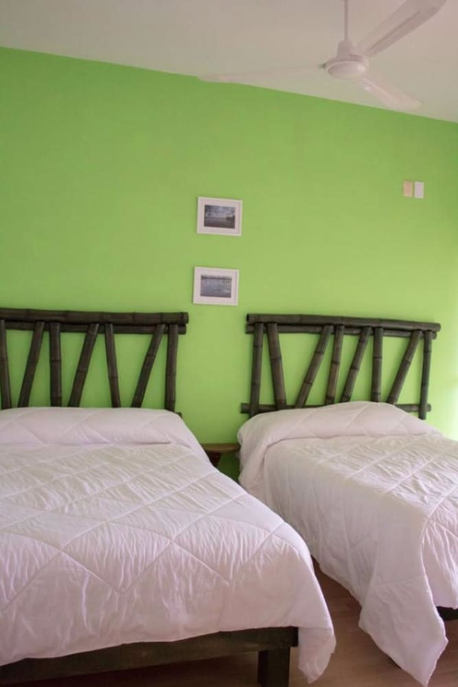Standard Double Room photo 3