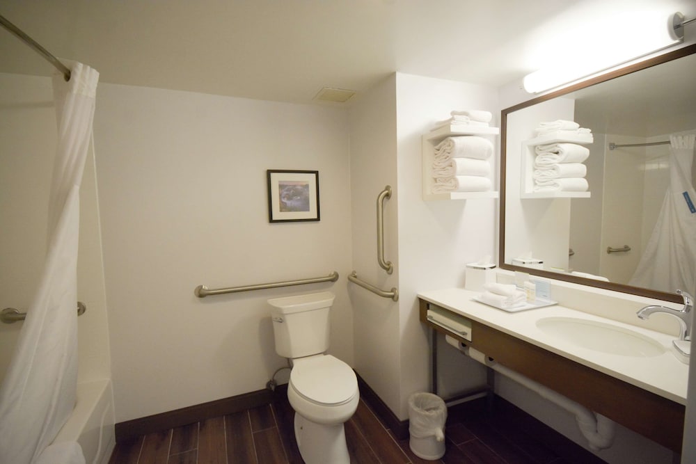 Room, 1 King Bed, Accessible, Bathtub - Photo 4