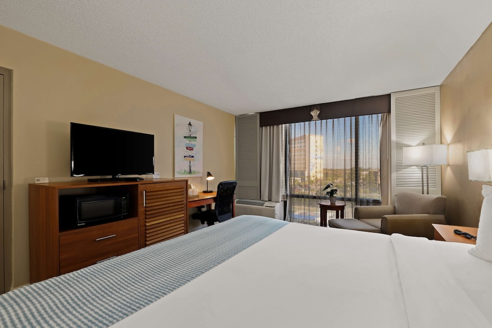 Suite, 1 King Bed, Non Smoking, Refrigerator & Microwave (with Sofabed)