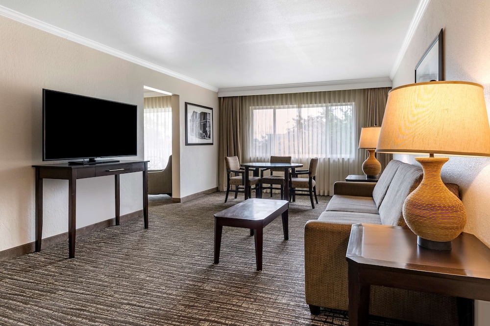 Suite, 1 King Bed, Non Smoking, Refrigerator & Microwave (with Sofabed) - Photo 1