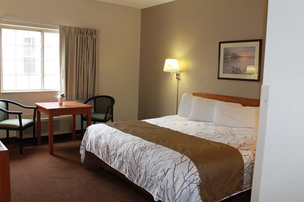 Standard Room, 1 King Bed, Roll-in Shower