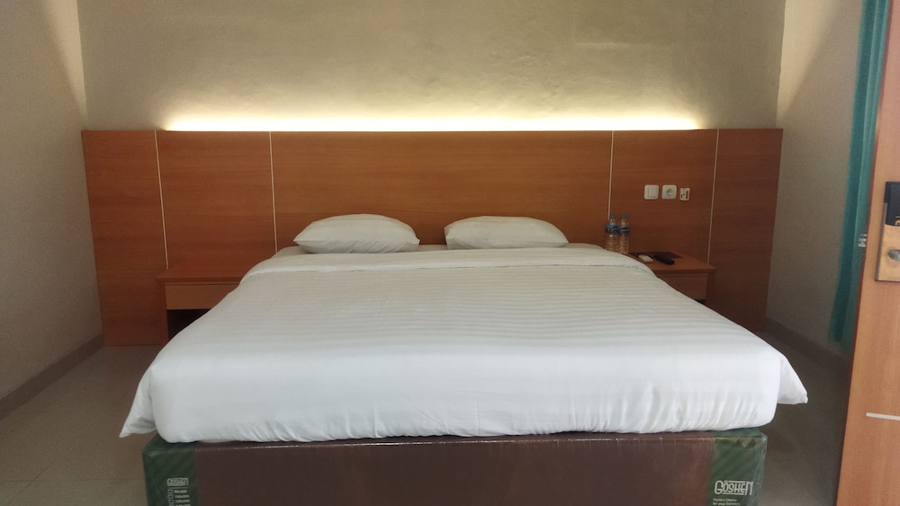 Deluxe Studio Suite photo 1