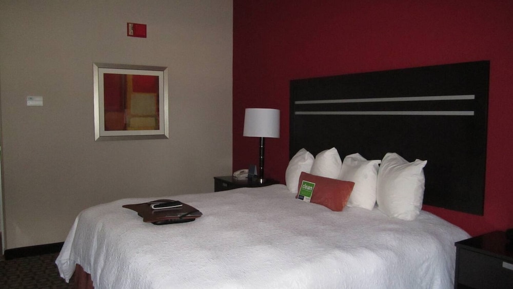 Room, 1 King Bed, Accessible photo 3