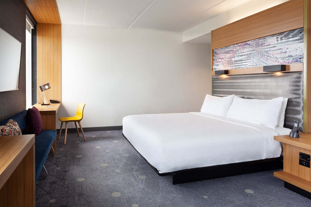 Room, 1 King Bed (Mobility/Hearing Access, Roll-In Shwr) - Photo 1