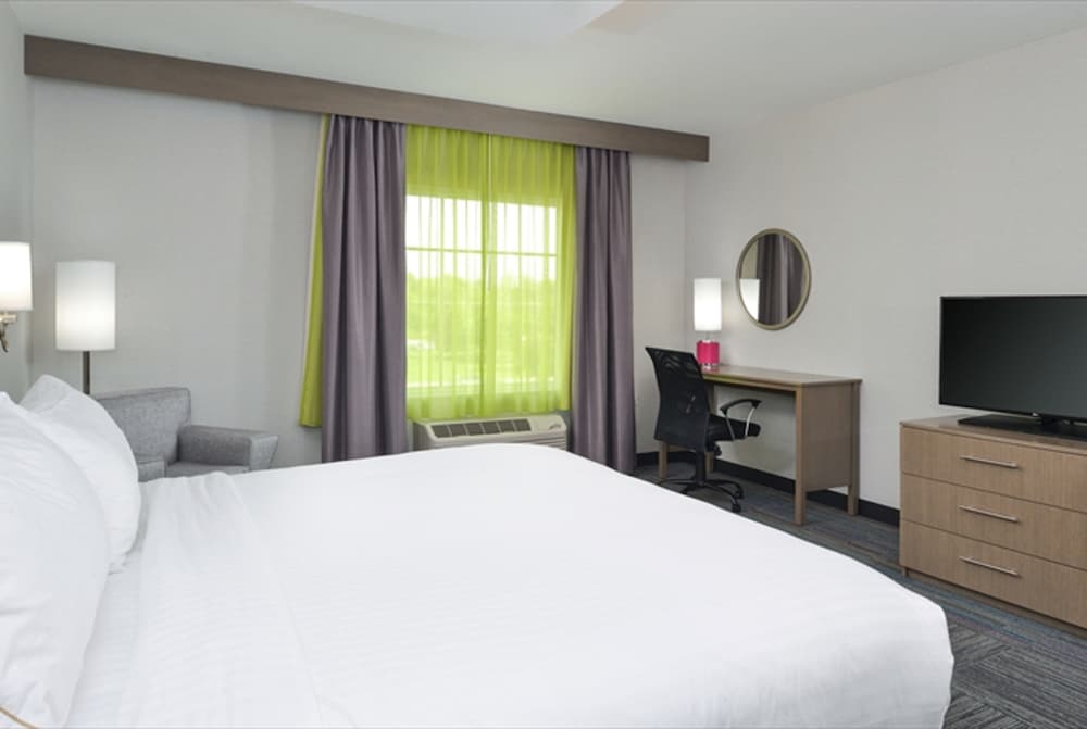 Standard Room, 1 King Bed, Roll-in Shower (Comm Access,Roll-In Shower)